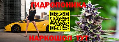 ПСИЛОЦИБИНОВЫЕ ГРИБЫ Краснокаменск