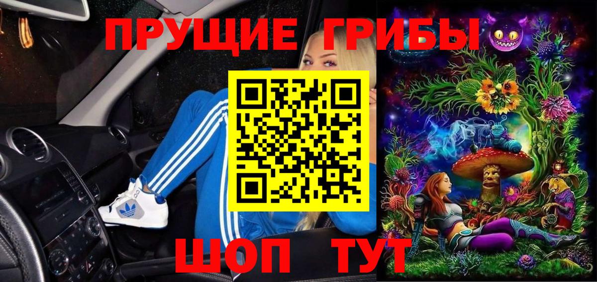 Новороссийск  Псилоцибиновые грибы прущие грибы  Вход с VPN 
