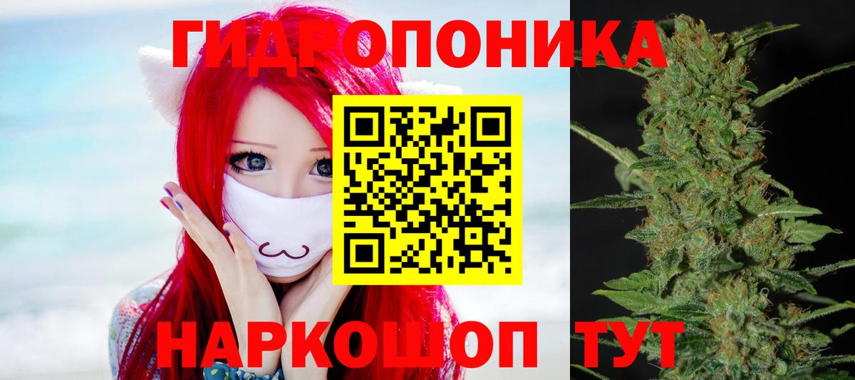 Конопля конопля Новороссийск